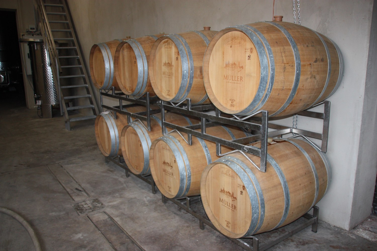 Weingut Müller – Bauprojekt von Fraiss Bau